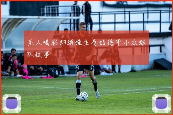 无人喝彩却顽强生存的德甲小众球队故事