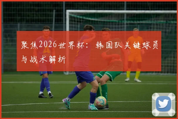 聚焦2026世界杯：韩国队关键球员与战术解析