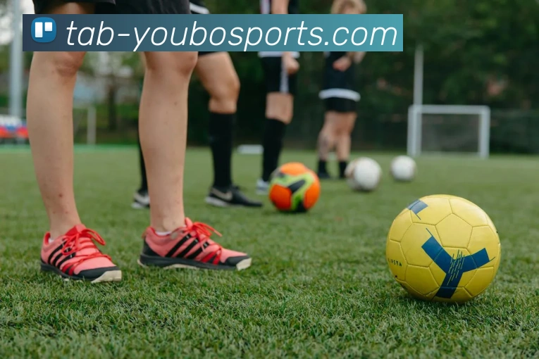 友博体育平台生态图